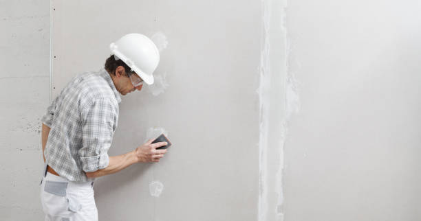 Best Airborne Mold Testing  in Olive Hill, KY