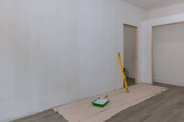 Best Emergency Mold Remediation  in Olive Hill, KY