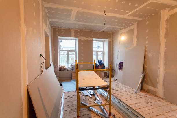  Olive Hill, KY Mold Removal Pros